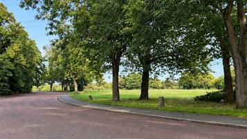 A paved road curving through a park with trees and grass.