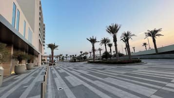 A spacious outdoor area with a modern building, palm trees, and a pedestrian walkway.