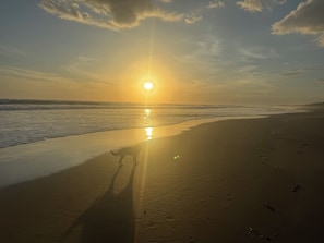 Escena de playa con un perro caminando por la orilla al atardecer.