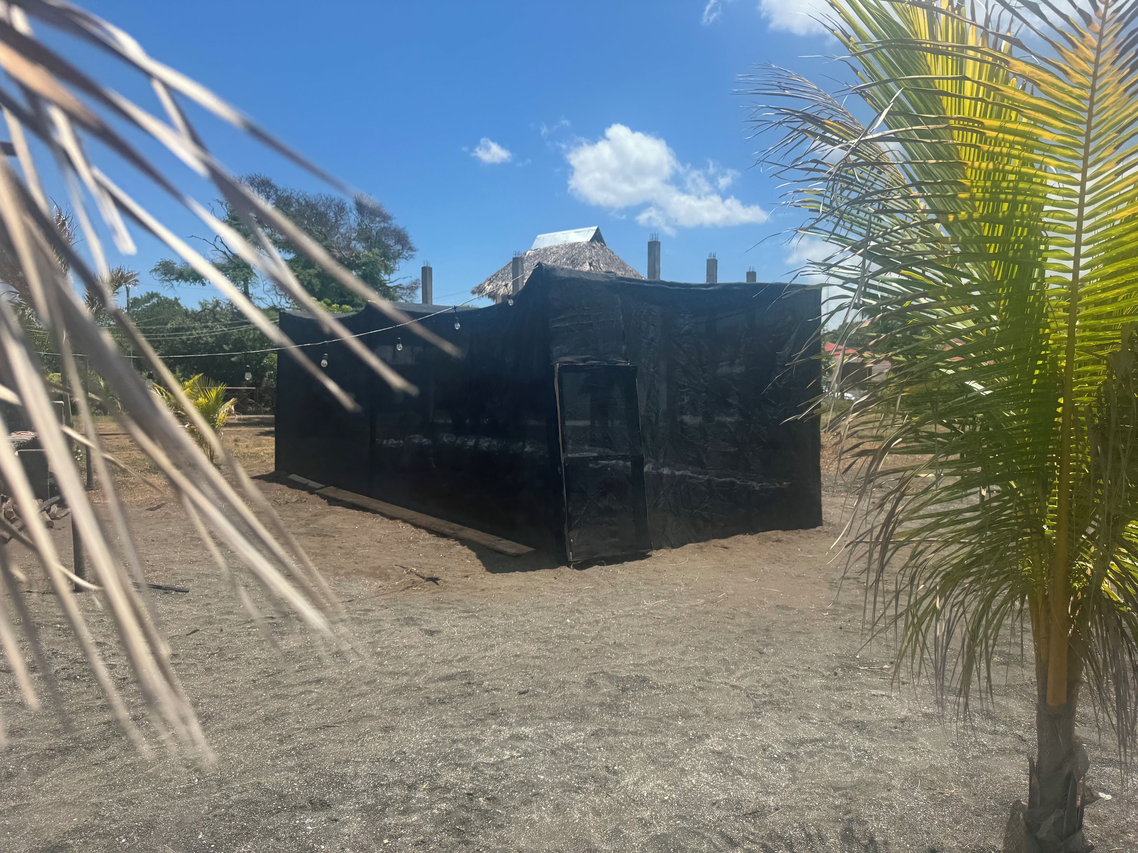 Una estructura negra con una puerta, rodeada de palmeras y un cielo despejado.