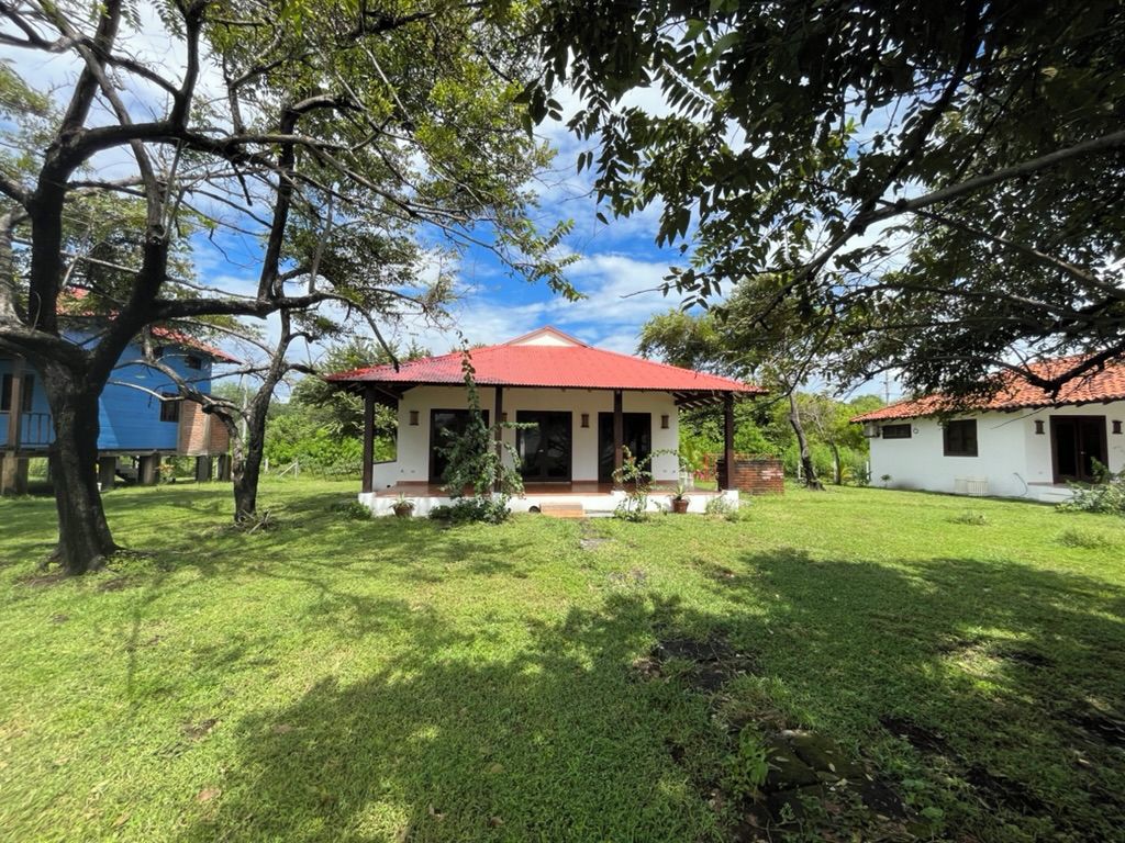 Una casa de techo rojo, rodeada de un césped cuidado y árboles.