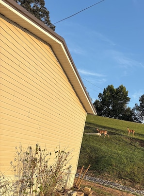 A house with a sloped roof and a grassy hill in the background. - Newly renovated 3-bedroom mobile home in beautiful Louisa. (Louisa)