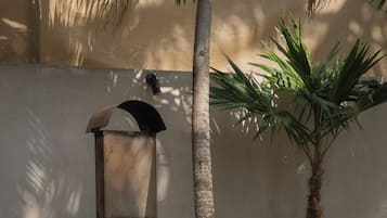 A rustic outdoor cooking area with a wood-fired oven, a wooden table, and a palm tree.