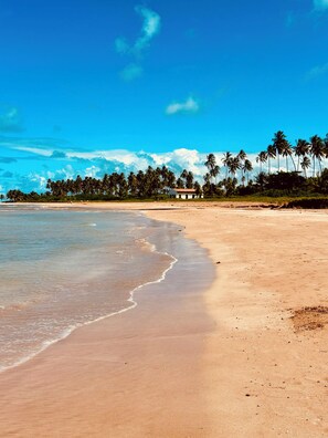 A beach with clear skies, palm trees, and a building in the distance. - Beach house in gated community São Miguel dos Milagres CASA MALÚ Alagoas (São Miguel dos Milagres)