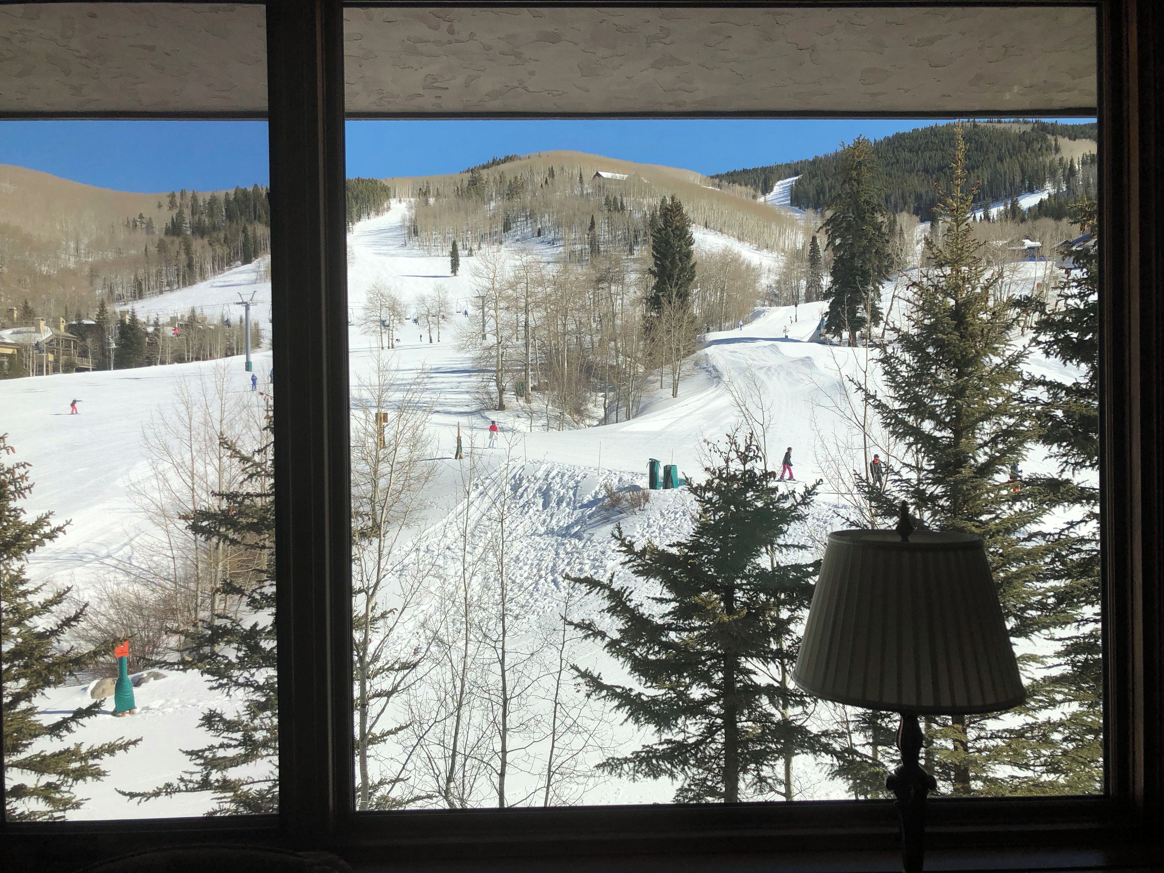 Blick auf eine schneebedeckte Skipiste mit Bäumen und einer Laterne im Vordergrund.