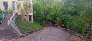 Un sendero pavimentado que atraviesa un área verde exuberante, bordeado por una densa vegetación.