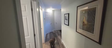 A hallway with a dog walking, white doors, and framed artwork on the wall.