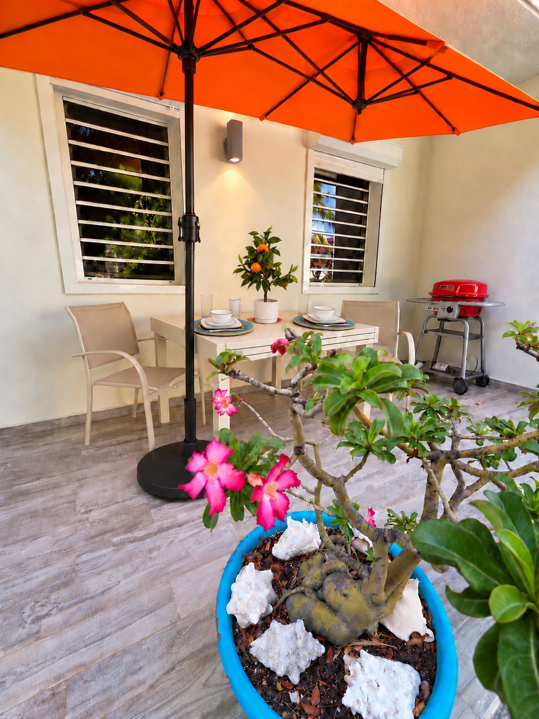 A patio area with a dining table, chairs, a potted plant, and a grill.