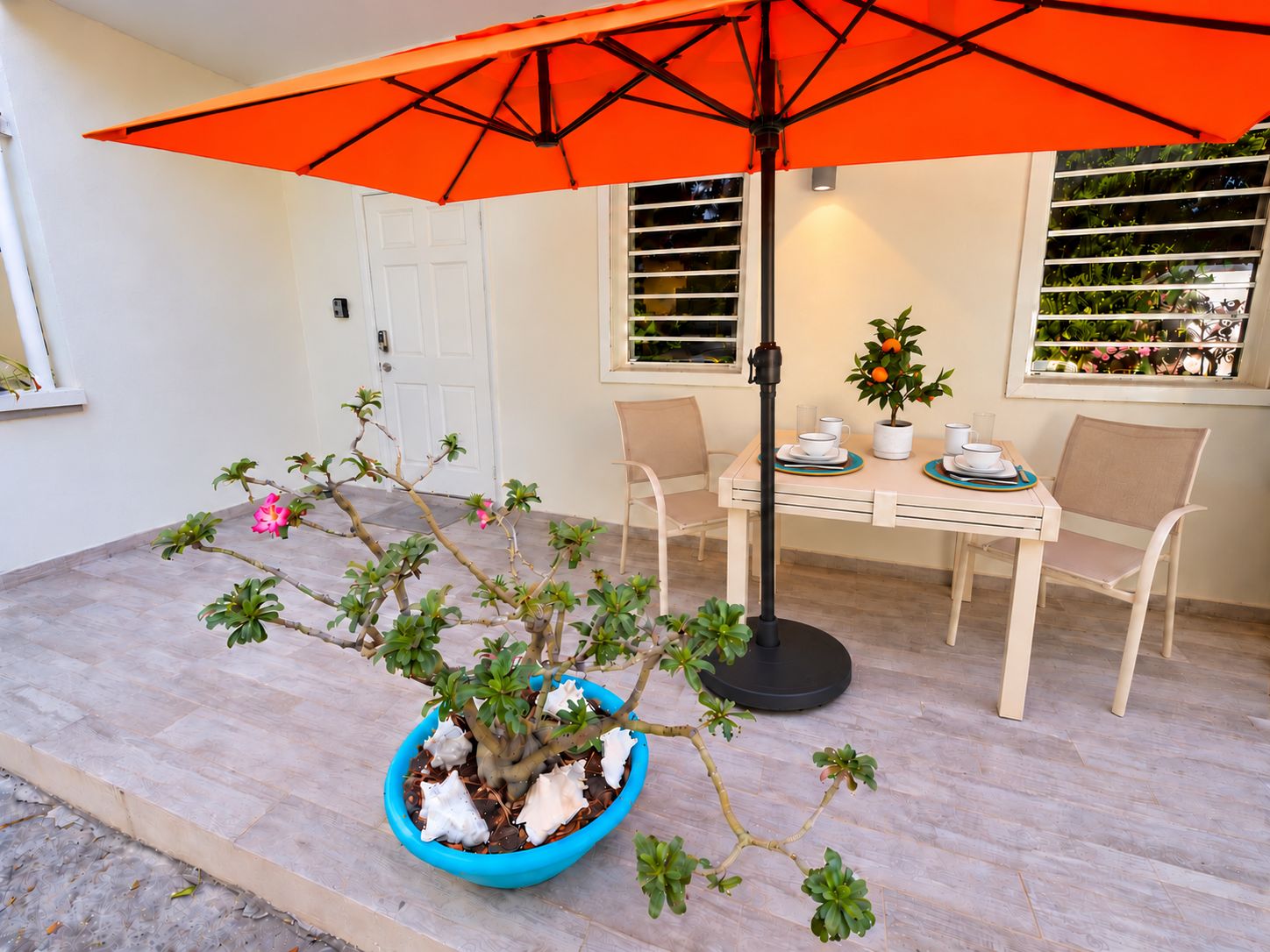 A patio with a table and chairs, a potted plant, and an umbrella.