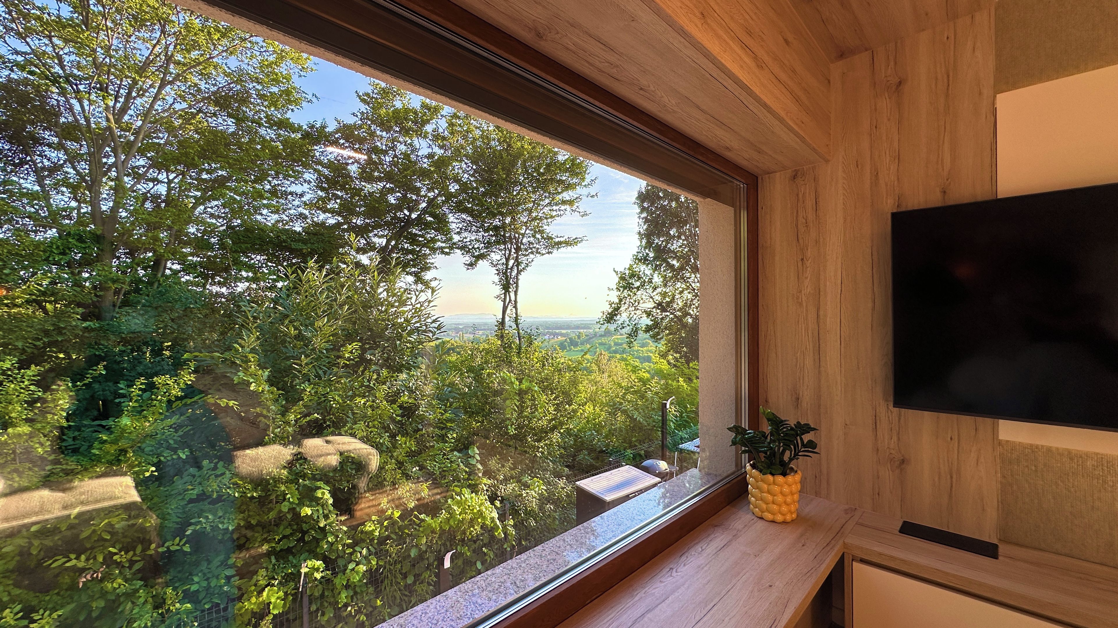 A room with a large window overlooking a forested area, a wooden ceiling, and a flat-screen TV mounted on the wall.