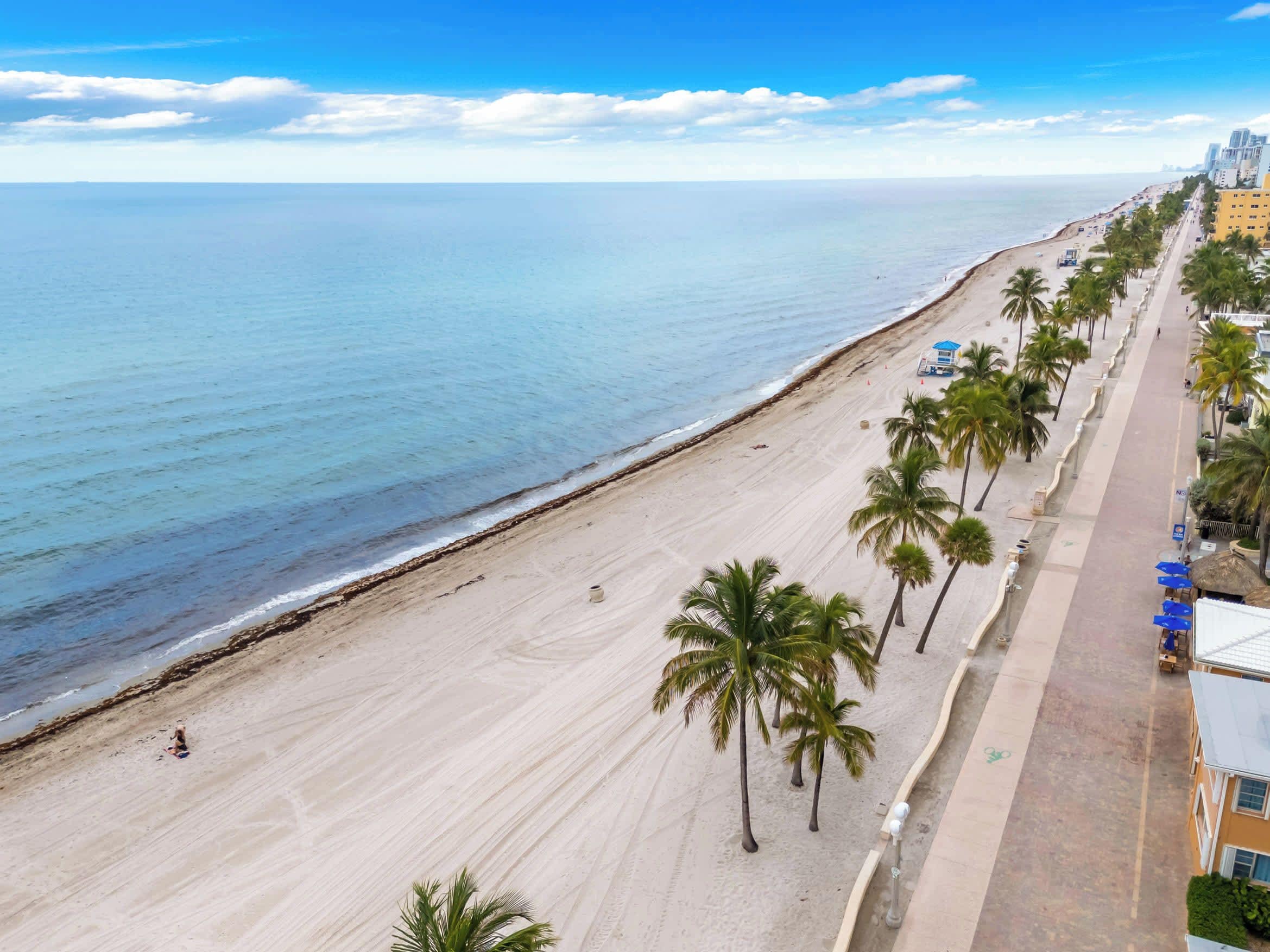 Una playa con arena, palmeras y un paseo marítimo con edificios.