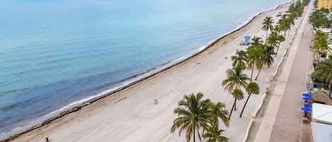 Una playa con arena, palmeras y un paseo marítimo con edificios.