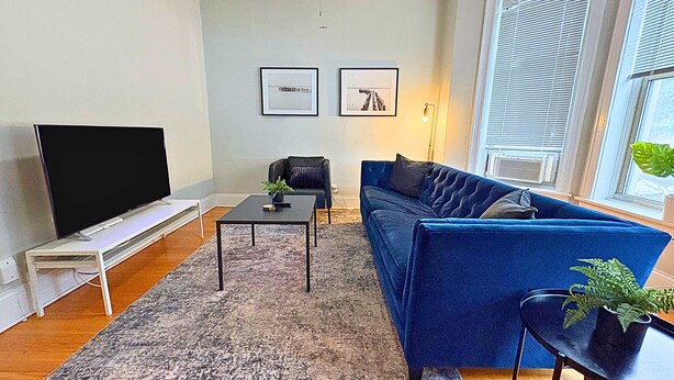 A modern living room with a flat-screen TV, a blue sofa, a coffee table, and a rug. There are two framed pictures on the wall and a plant on the coffee table. - Beautifully Set Up 2BR Space (Chicago)