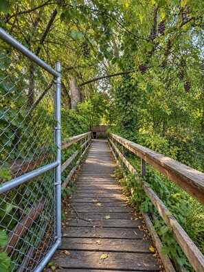 A wooden bridge with metal railings, surrounded by dense foliage and trees. - Hot tub, private bridge, large patio, and secret garden property to explore (Moscow)