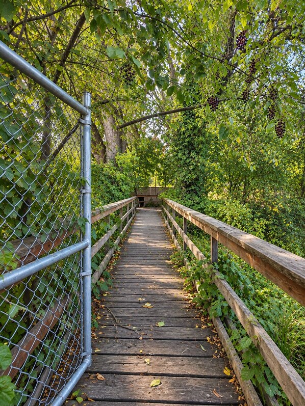A wooden bridge with metal railings, surrounded by dense foliage and trees.