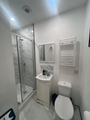 A bathroom with a glass shower enclosure, a white sink with a mirror above it, and a toilet. - Barn Conversion Sleeps 2 with Wifi (Thornton Heath)
