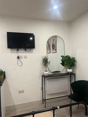 A room with a mounted TV, a radiator, a mirror, and two potted plants. - Barn Conversion Sleeps 2 with Wifi (Thornton Heath)