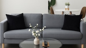 A grey sofa with black cushions, a round glass coffee table with a vase and flowers, and a small white table with a plant in the background. - Hyde Park 1BR w/ Charm (Chicago)