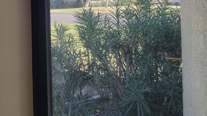 A view through a window with a clear sky, a palm tree, and a building in the background.