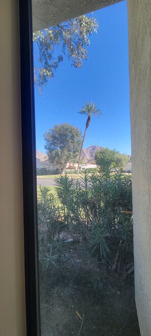 A view through a window with a clear sky, a palm tree, and a building in the background.