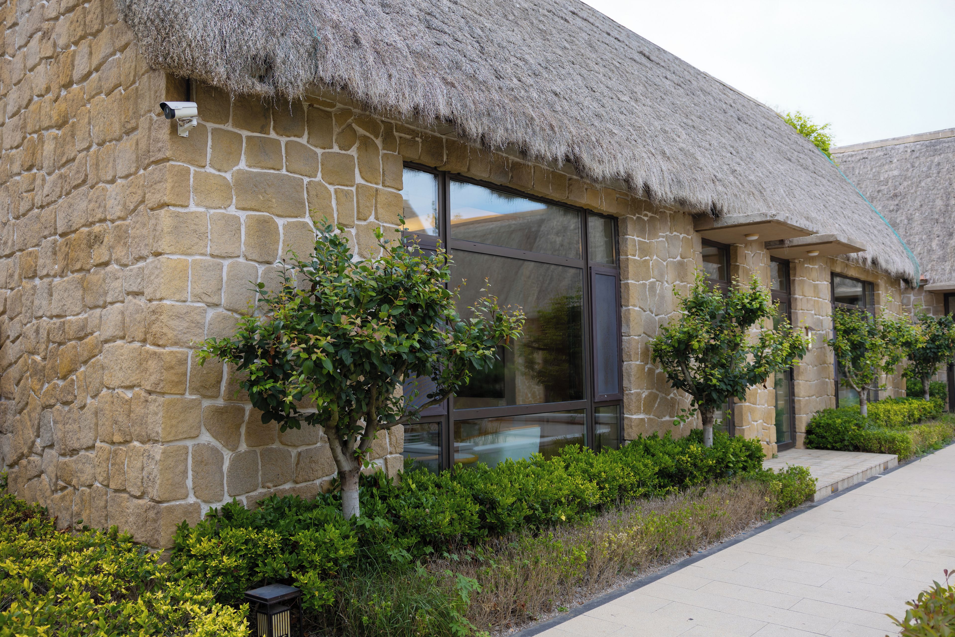 A stone building with a thatched roof, large windows, and small trees in the foreground.