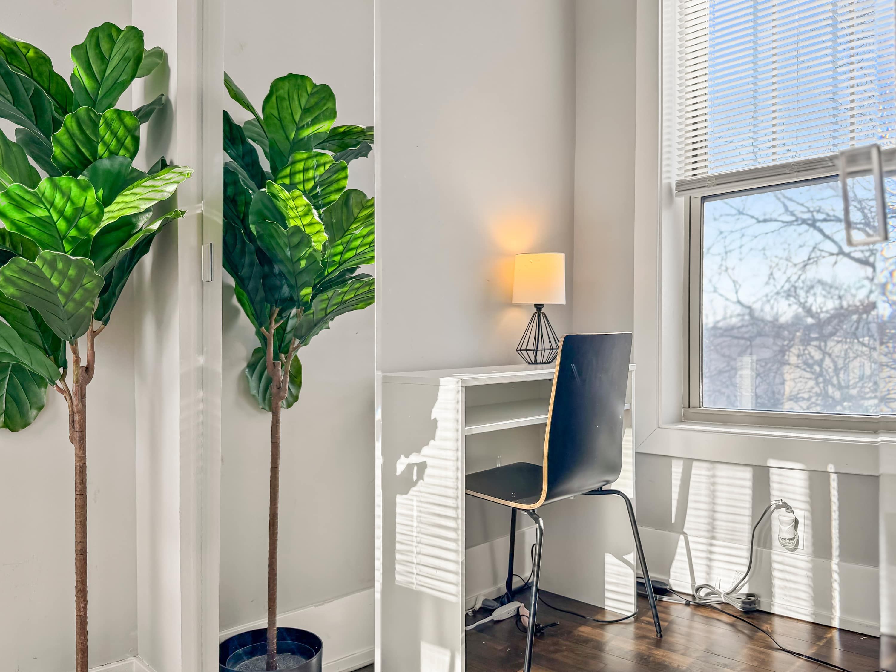 Une pièce comprenant un bureau, une chaise et deux grands plants en pot.