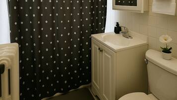 Shower, hair dryer, shampoo