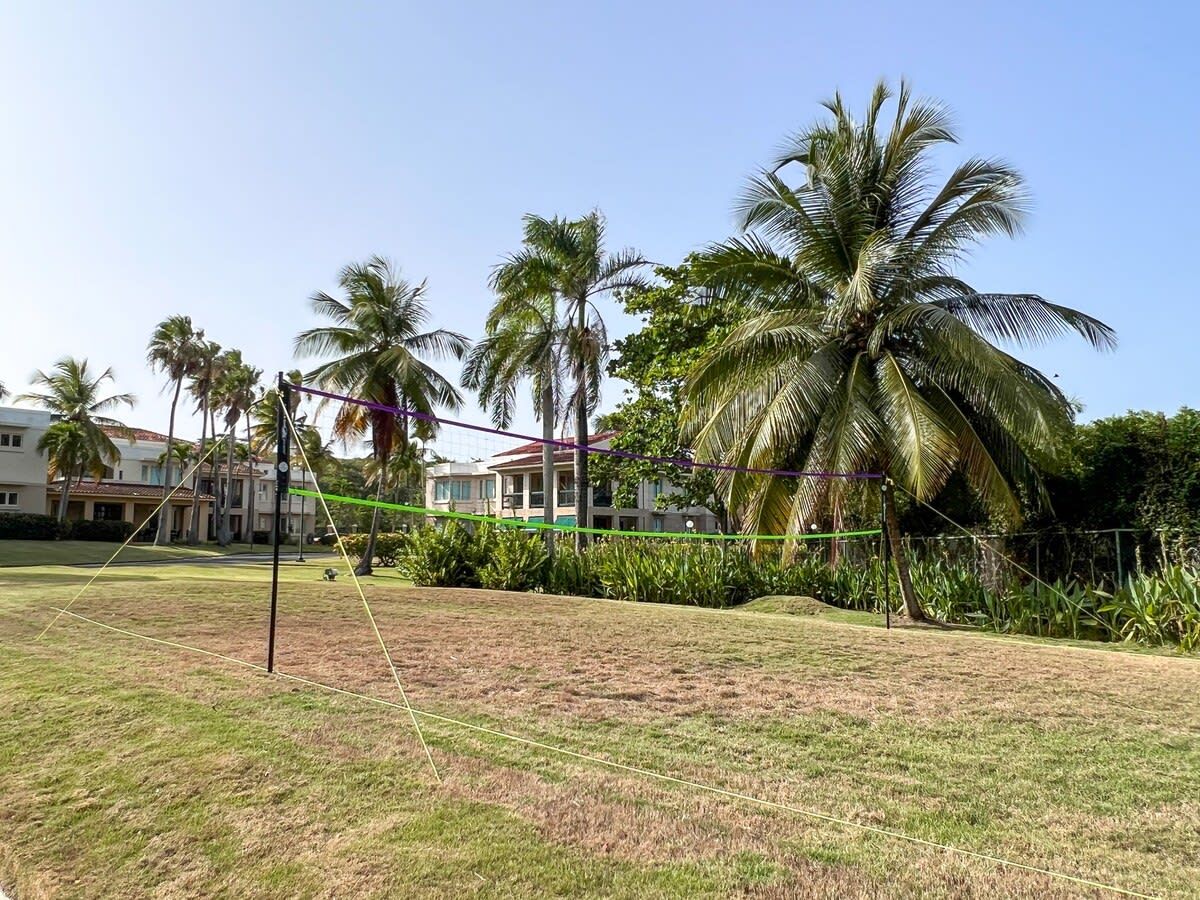 A grassy outdoor area with a volleyball net, palm trees, and a building in the background.