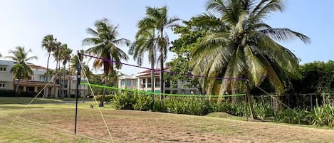 Un espace extérieur verdoyant avec un filet de volley-ball, des palmiers et un bâtiment en arrière-plan.