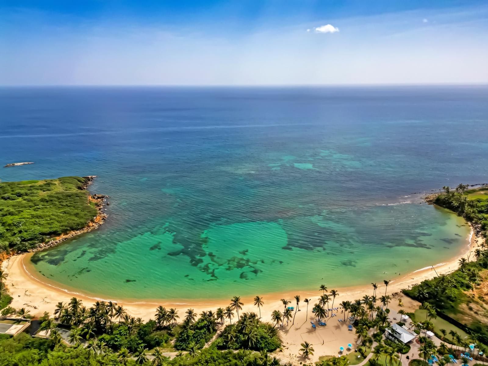 A coastal beach with clear turquoise waters, palm trees, and a sandy shore.