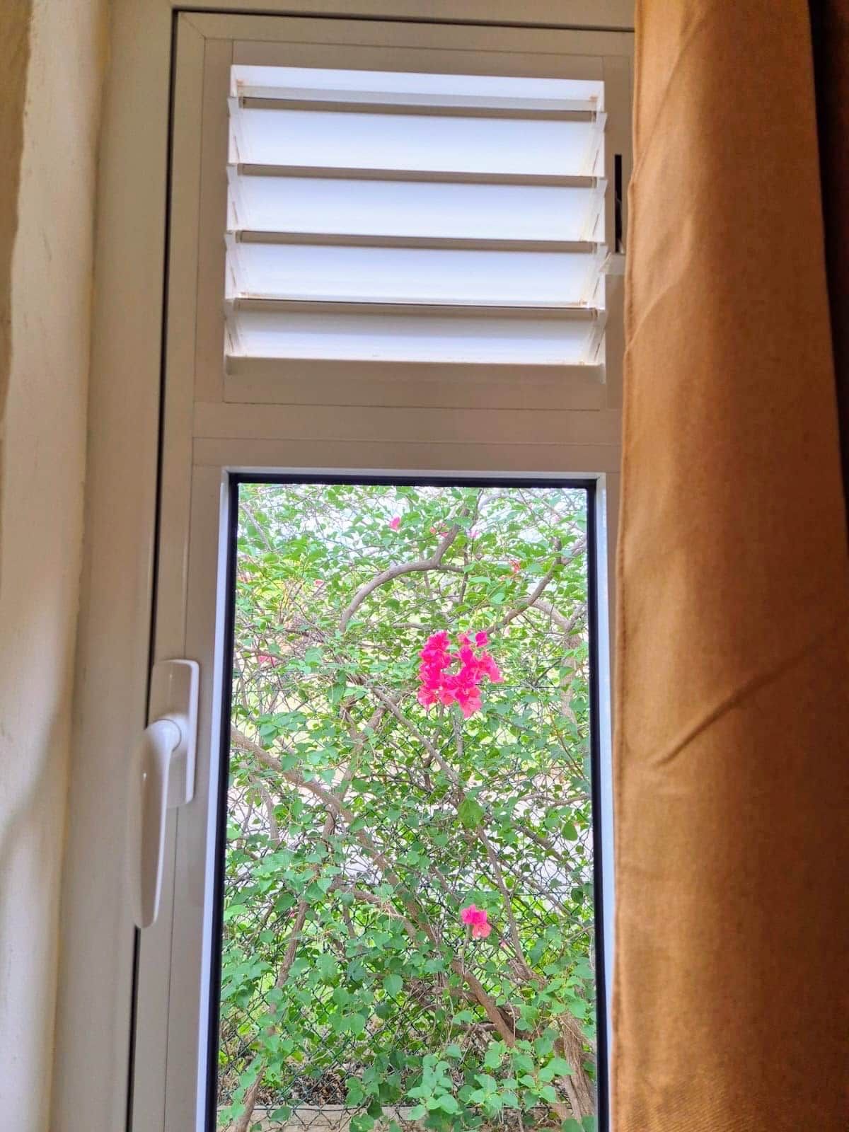 A door with a window, a white handle, and a view of greenery and pink flowers outside.