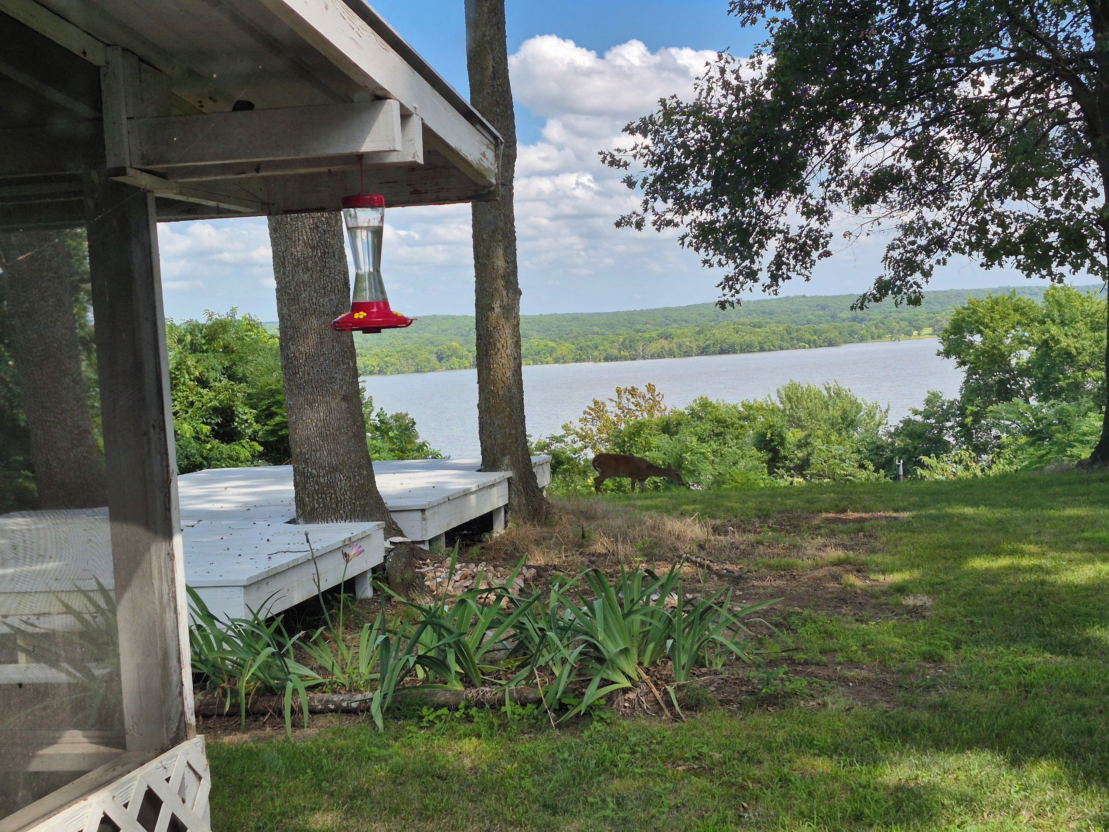 A wooden deck with a bird feeder, a view of a lake, and a deer grazing in the background.