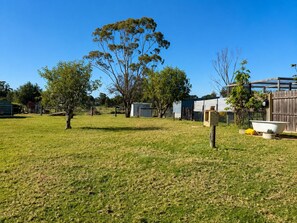 A residential backyard with a lawn, a tree, and a fenced area containing a shed and a bathtub.