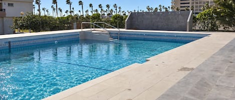 A swimming pool with clear blue water, surrounded by a tiled deck and palm trees.