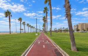 Ein von Palmen gesäumter Weg führt zu einem Strand, mit einer roten Fahrradspur und einem Gebäude im Hintergrund.