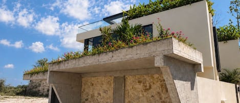 A modern building with a flat roof, a balcony with plants, and a paved ground.