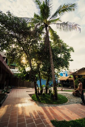 Un patio con una palmera, un sendero adoquinado y un edificio con techo de paja.