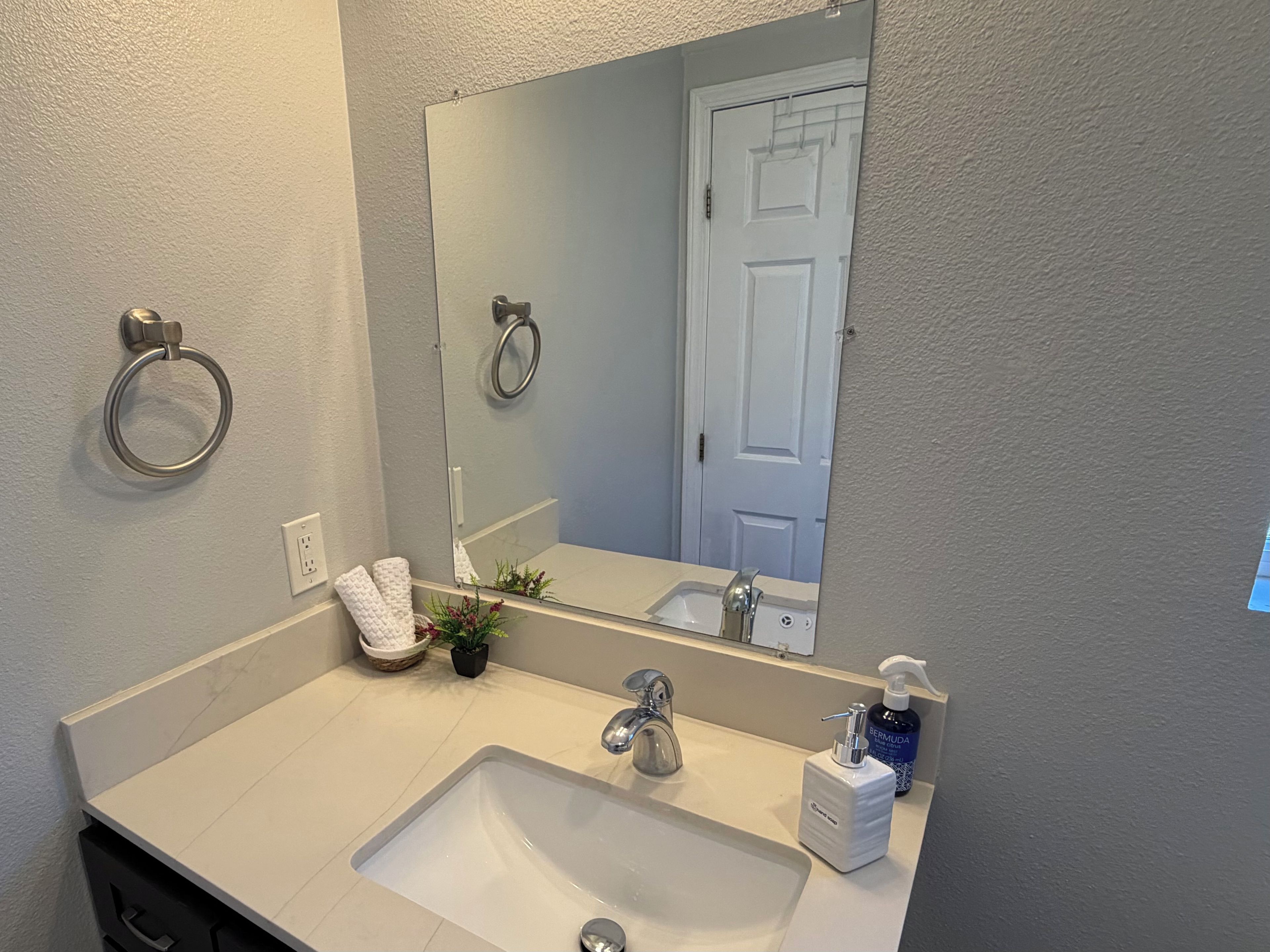 A bathroom with a white sink, a mirror, a towel ring, a potted plant, and a bottle of shampoo.