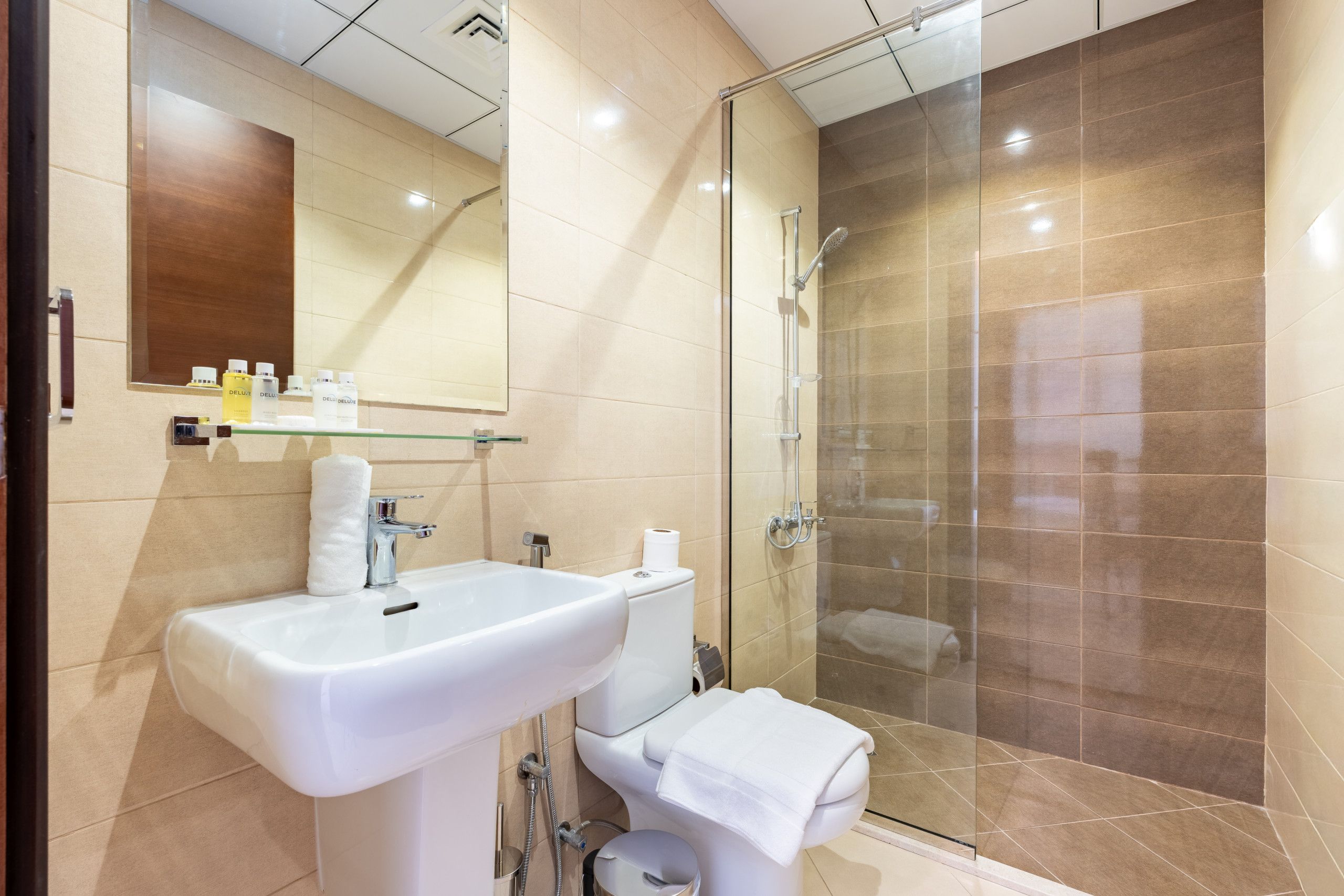 Un baño moderno con ducha envuelta en vidrio, un lavamanos blanco y un inodoro.
