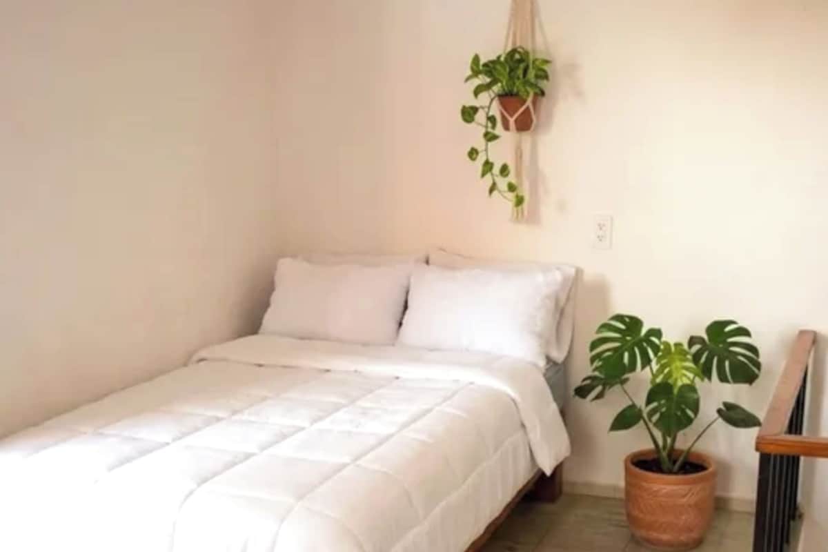 Economy-Doppelzimmer, Terrasse