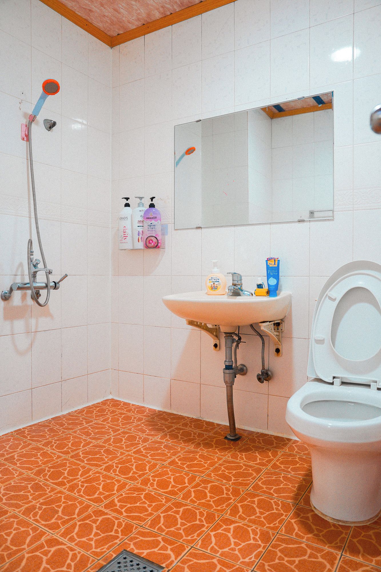 A bathroom with a white sink, a toilet, and a shower.