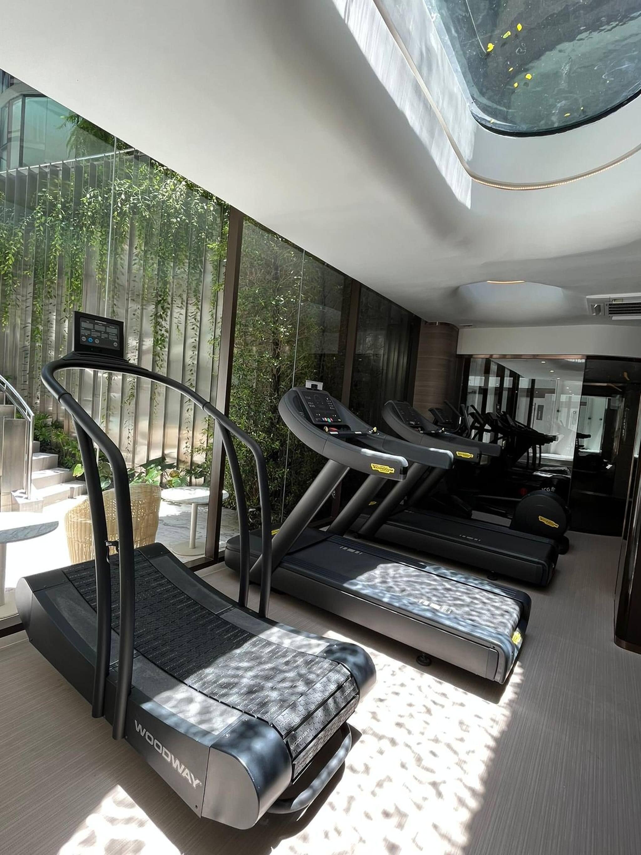 Ein modernes Fitnessstudio mit Laufbändern und einer Glaswand mit Blick auf einen Garten.