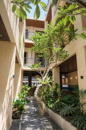 A multi-level indoor courtyard with a central tree, surrounded by various plants and a pathway.
