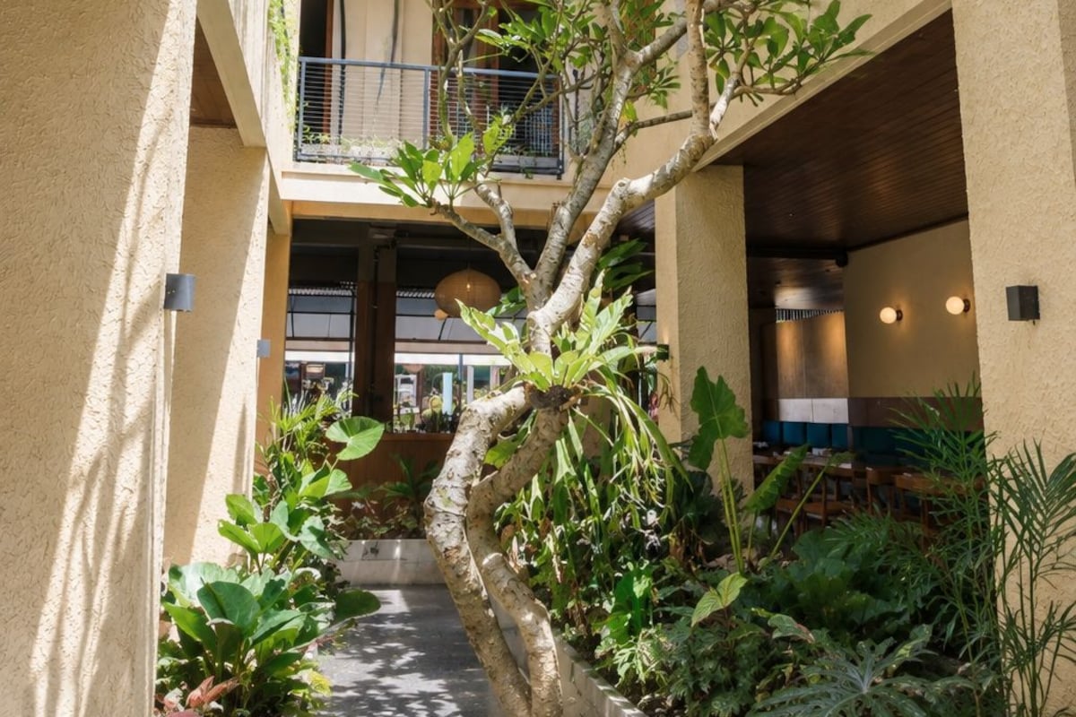 A multi-level indoor courtyard with a central tree, surrounded by various plants and a pathway.