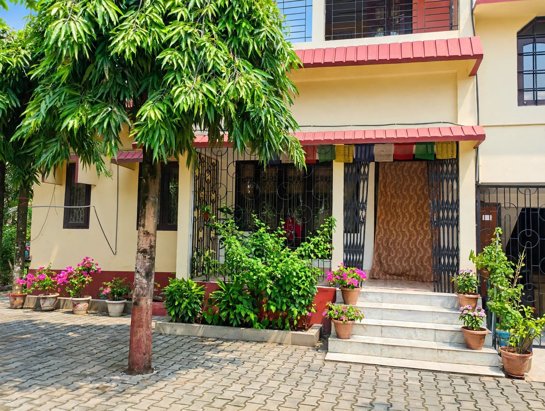 A building with a covered entrance, potted plants, and a tiled pavement.