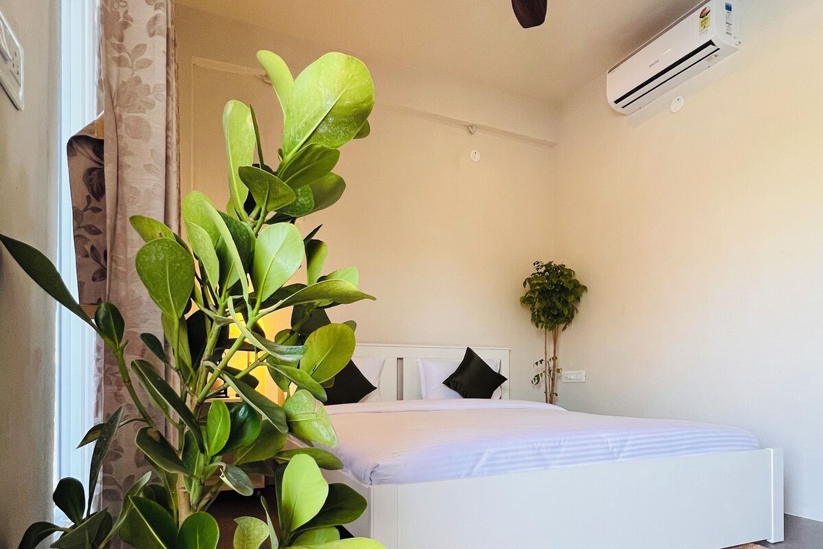 A bedroom with a bed, a ceiling fan, an air conditioning unit, a potted plant, and a rug.