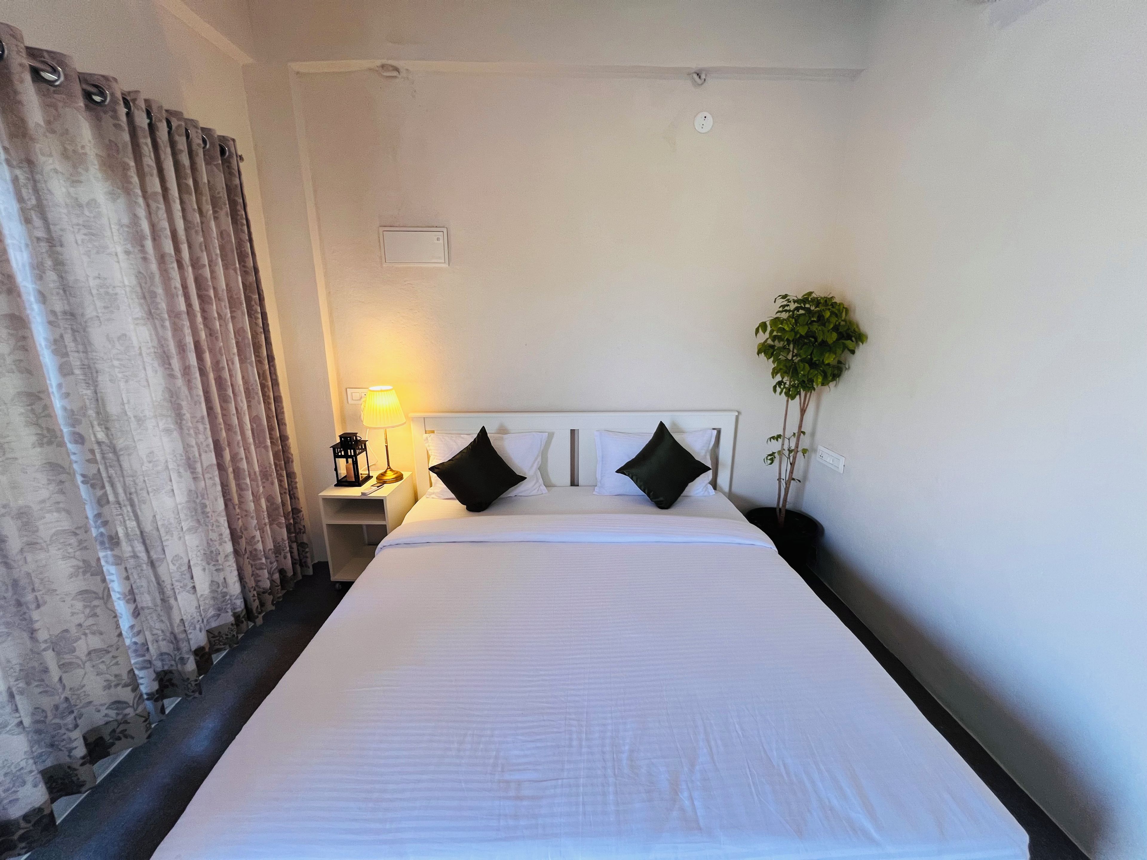 A hotel room with a bed, a nightstand, a lamp, a potted plant, and a window with curtains.