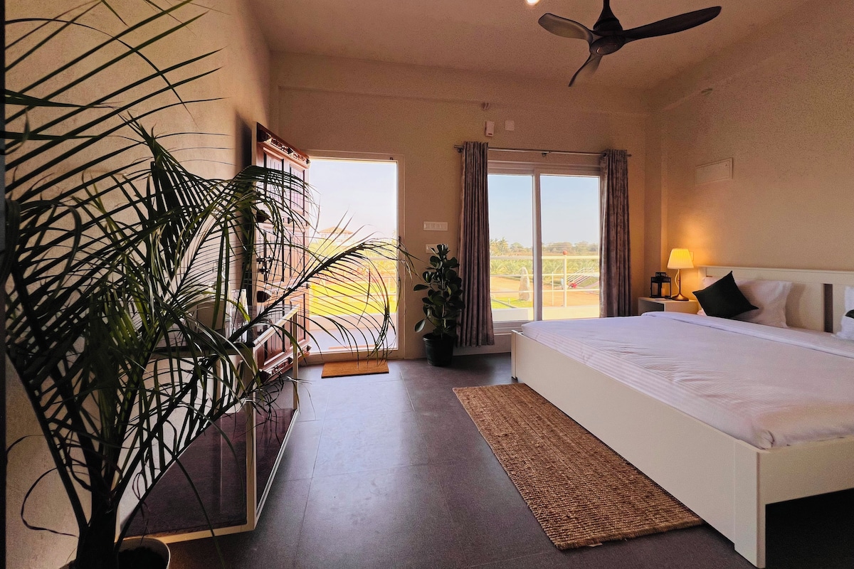Quarto de hotel com cama, ventilador de teto, janela grande com cortinas e planta em vaso.