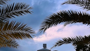 A multi-story building with a central entrance, surrounded by palm trees and large rocks. - Habba Dates Village (CHIKKABALLAPURA)