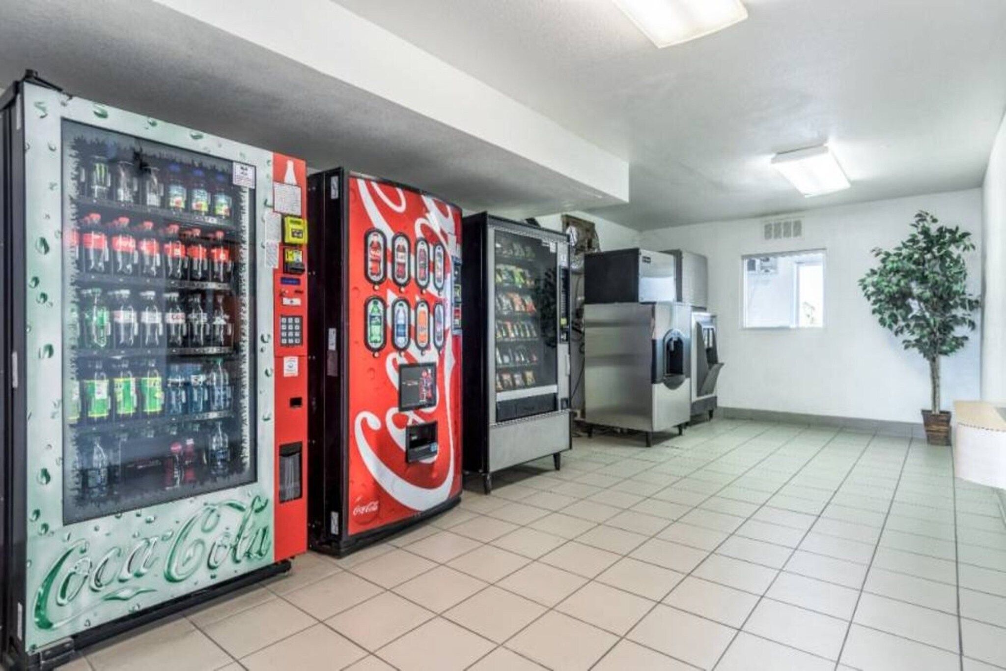 A vending area with multiple beverage dispensers, a refrigerator, and a potted plant.